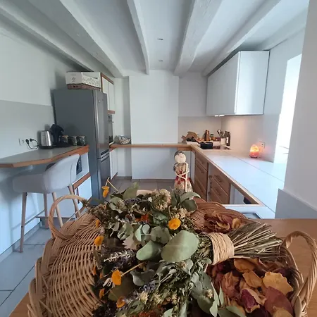 Le Du Renard, A Cote De La Meuse Et Dinant *